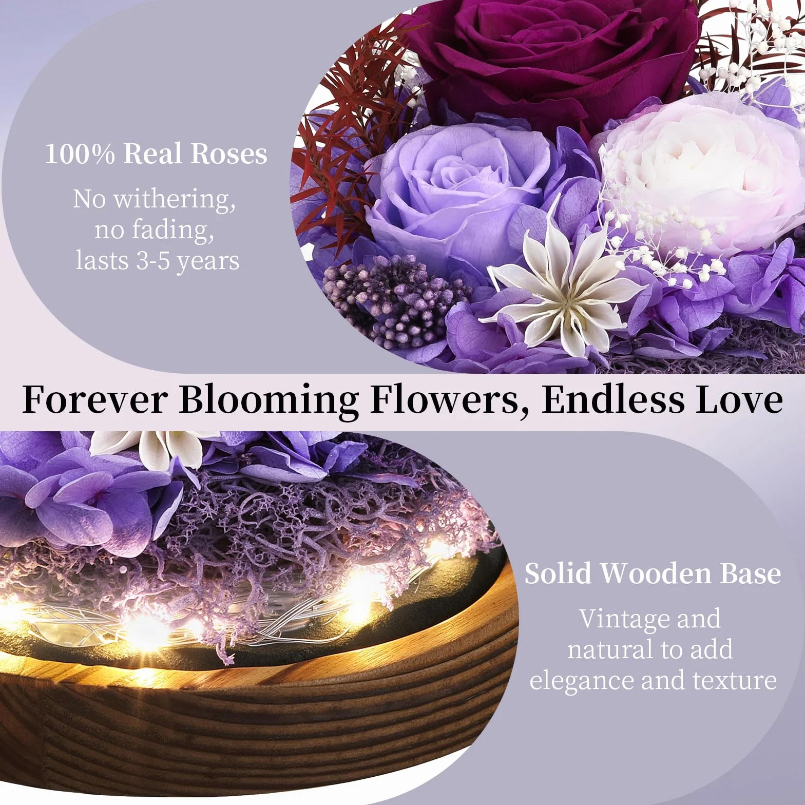 Emibele Regalo Rosa Eterna per la Festa della Mamma, Rosa Reale Conservata in Cupola di Vetro con LED, Fiori per Consegna, Regalo per Donna, Moglie, Compleanno, Anniversario, Viola