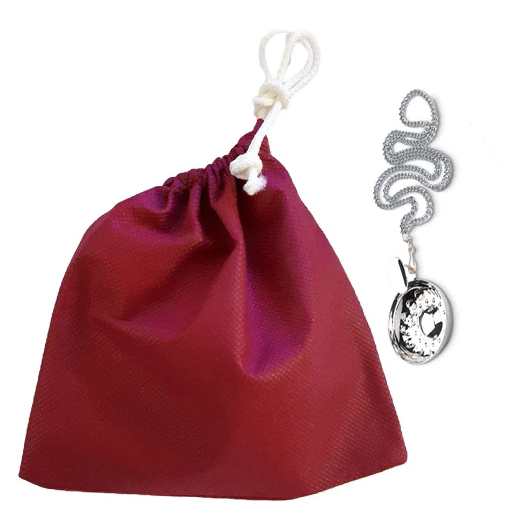 Tastevin Sommelier Borgogna Professionale | Silver Plated, Catena, Pochette, Made in Italy, Acciaio Inox, Contatto Alimenti, Modello Borgogna, Uso Professionale