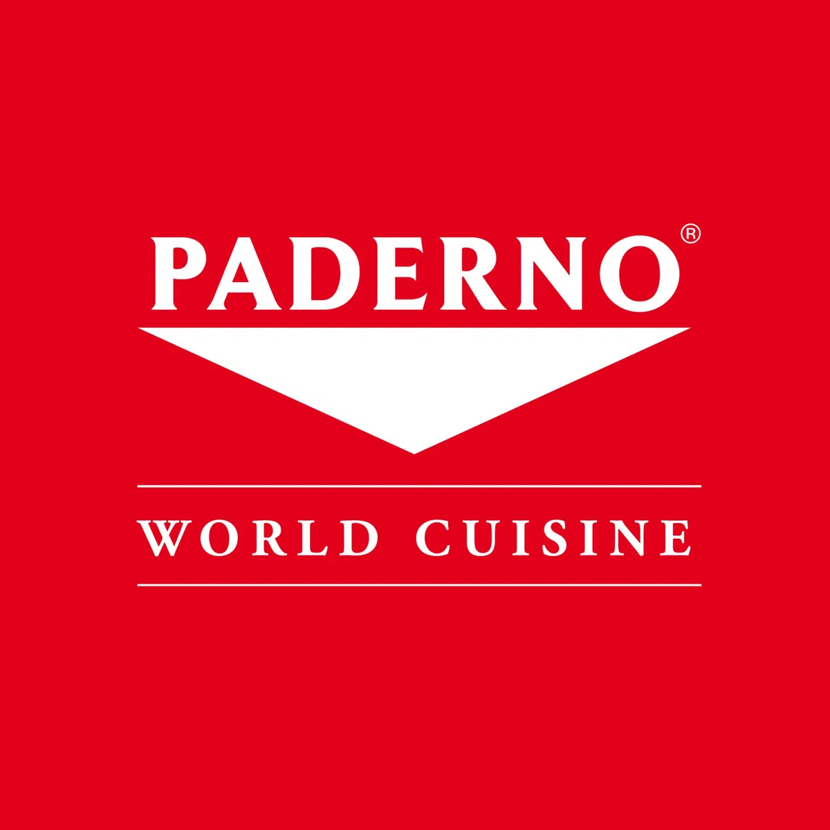 Paderno 44103-06 Contenitore 6 Scomparti, Portacondimenti 6 Vaschette ideale per Insalata e Condimenti, Lavabile in lavastoviglie, Dimensioni: 49x15 cm, ABS