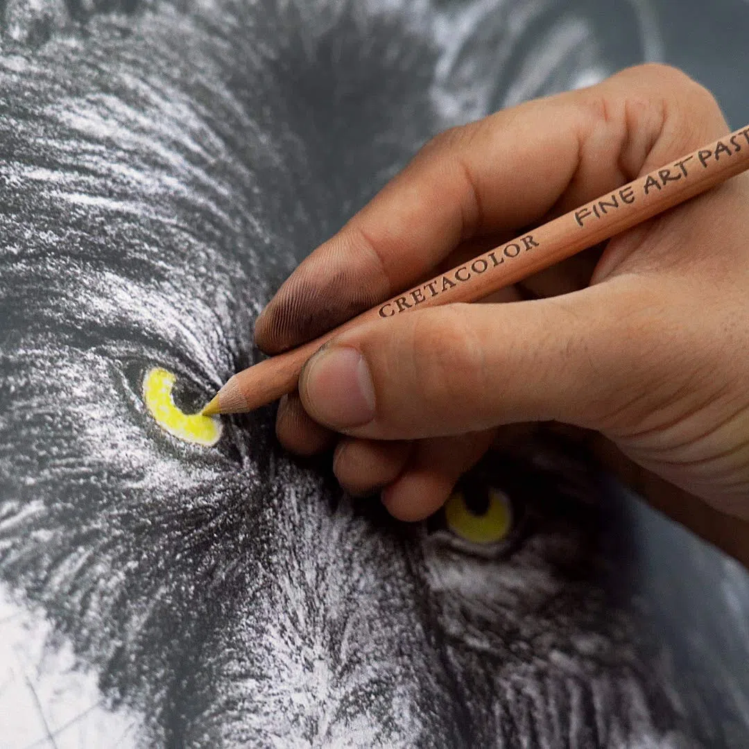 CRETACOLOR Wolf Box, Nero - Bianco Set di Segni, 25 pezzi, utensili da disegno di alta qualità, tra cui Knetradierer & Künstlerspitzer, e pelle lucida