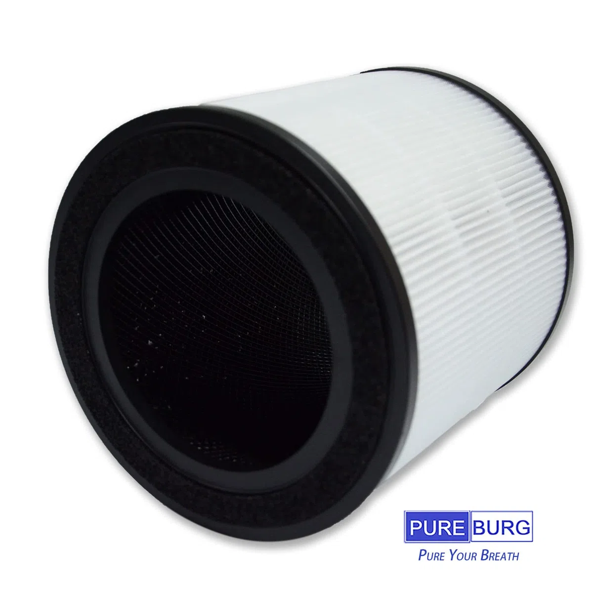 PUREBURG Filtro di ricambio compatibile con AEG Pure 5000 & AX3 e Electrolux Flow A3 A3UV, H13 True HEPA carbone attivo