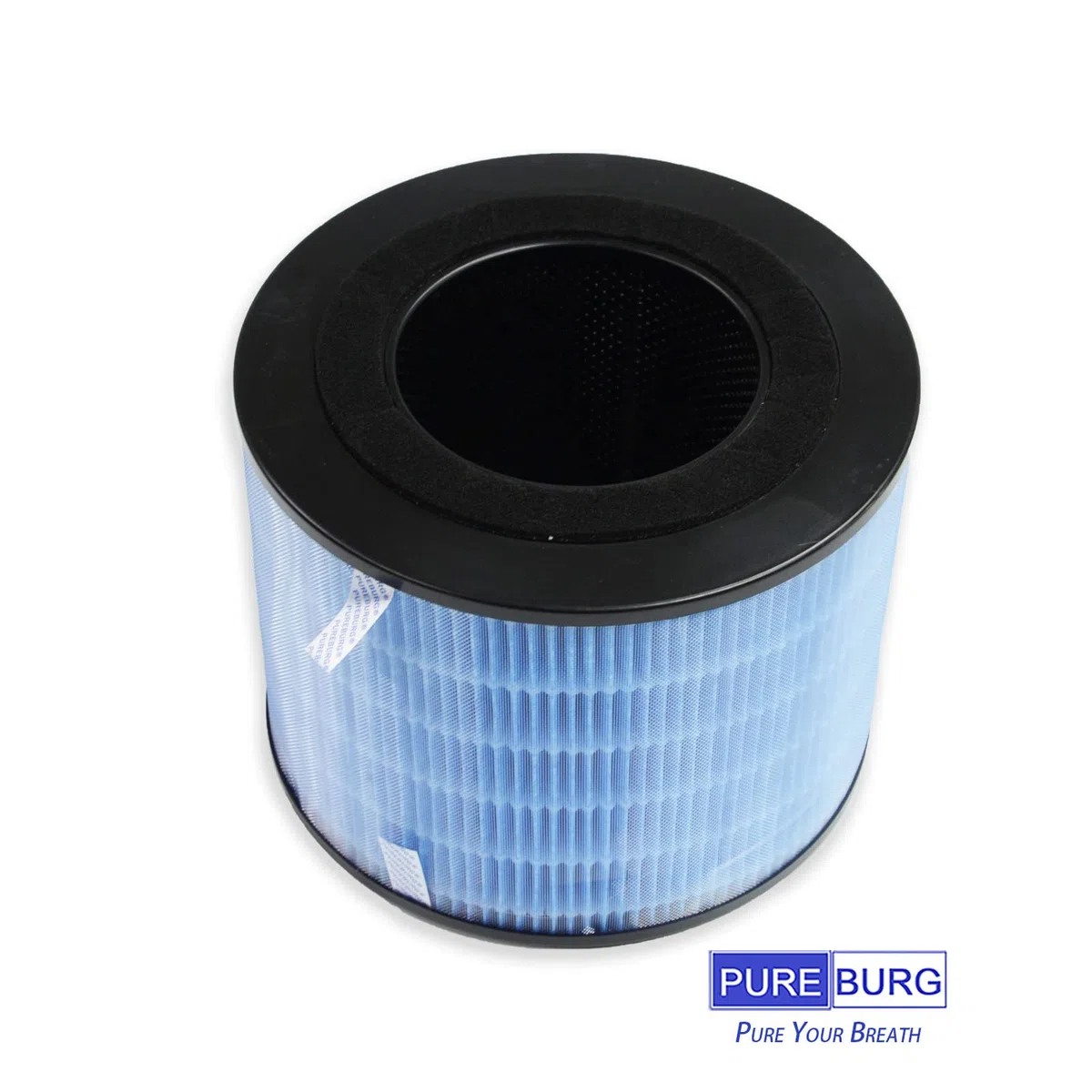 PUREBURG FYM220 Filtro di ricambio compatibile con PHILIPS AMF220 AMF220/15 purificatore d'aria FYM220/30,2 pezzi H13 HEPA filtrazione a 4 stadi