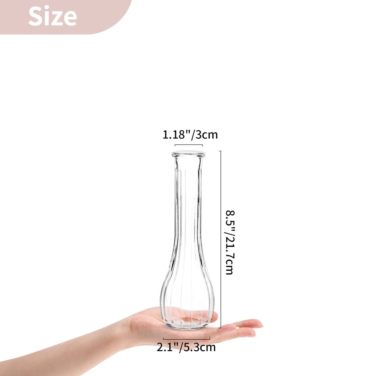 NUPTIO Piccoli Vaso Fiori Vetro: 6 Pezzi 21,7cm Vasi Trasparenti Centrotavola per Decorazioni Matrimonio - Vaso Decorativo da Interno Striato per Casa Festa Soggiorno