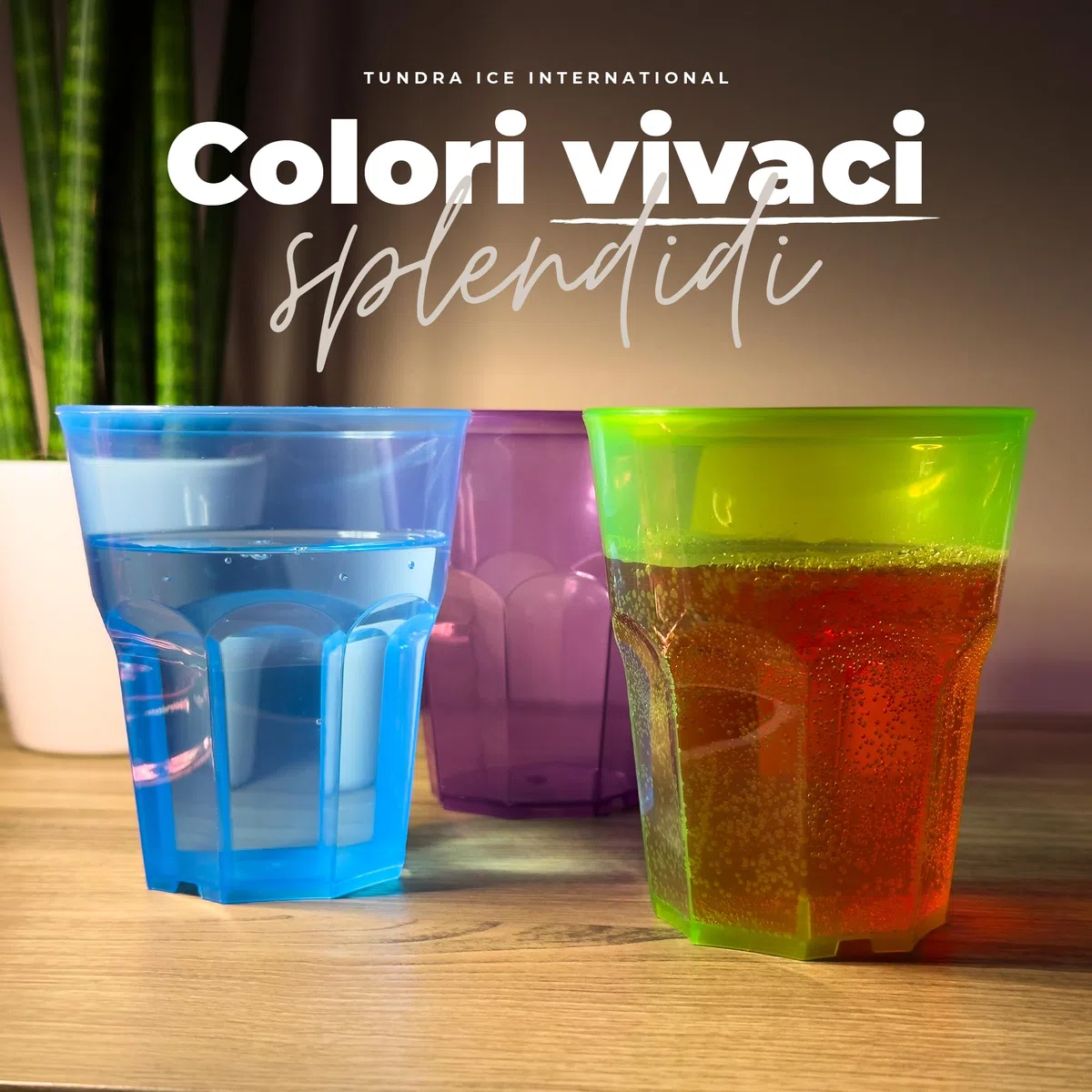 TUNDRA - Confezione 48 Bicchieri da COCKTAIL "SPRITZOTTO USA & RI-USA" 300 ml., BPA-FREE, COLORATI, in PLASTICA RICICLABILE (Polipropilene), INFRANGIBILI, Riutilizzabili e Trasparenti