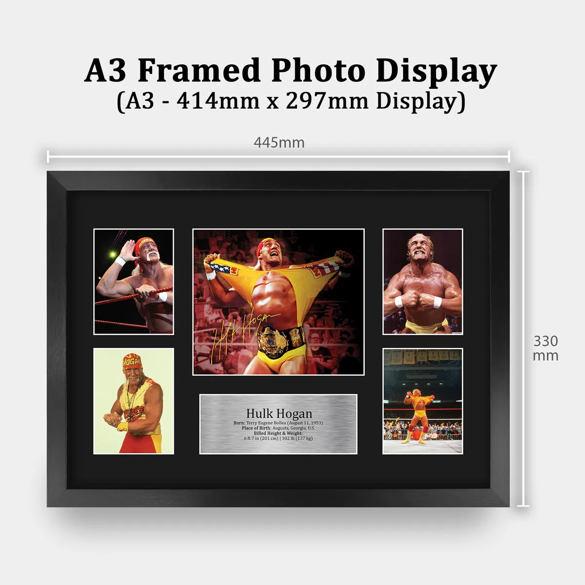 HWC Trading FR A3 Hulk Hogan Wrestling Regali Stampati Autografo Firmato Immagine Per WWE & WWF Memorabilia Tifosi - A3 Framed