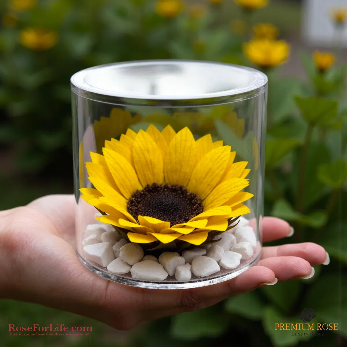 Premium-rose.com Box tondo con Girasole Stabilizzata e Marmo di Carrara, Idea Regalo Unica e Raffinata, Idea regalo per lei, Natale, Cubo Rosa fucsia, Fatta in Italia (girasole 1999)