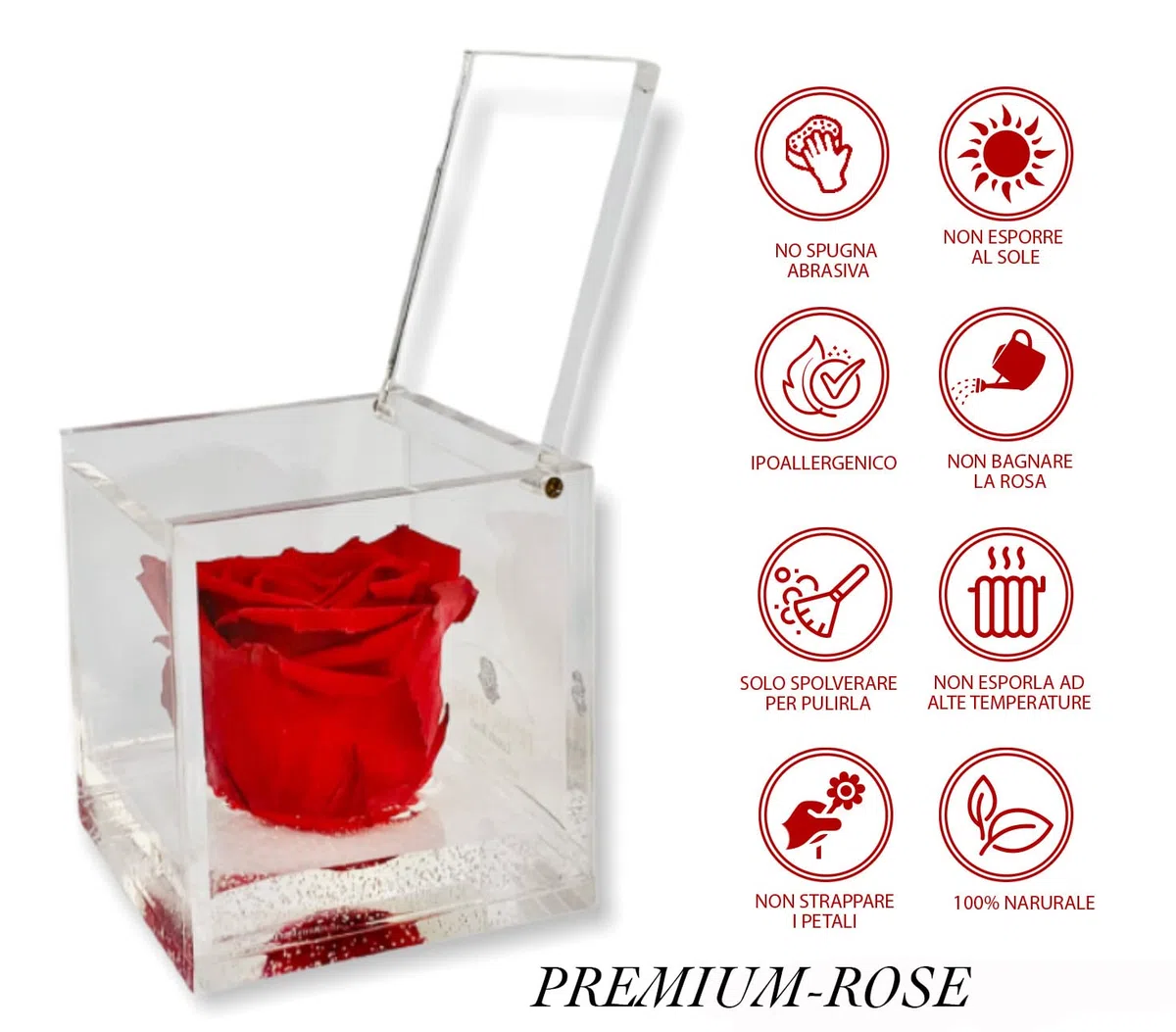 S 1085 Luxury Rose Stabilizzate Vere in Cubo più Spesso Luxury 8 e Scatola Regalo Lusso, Cubo Rosa stabilizzata Rosa, Rosa eterna