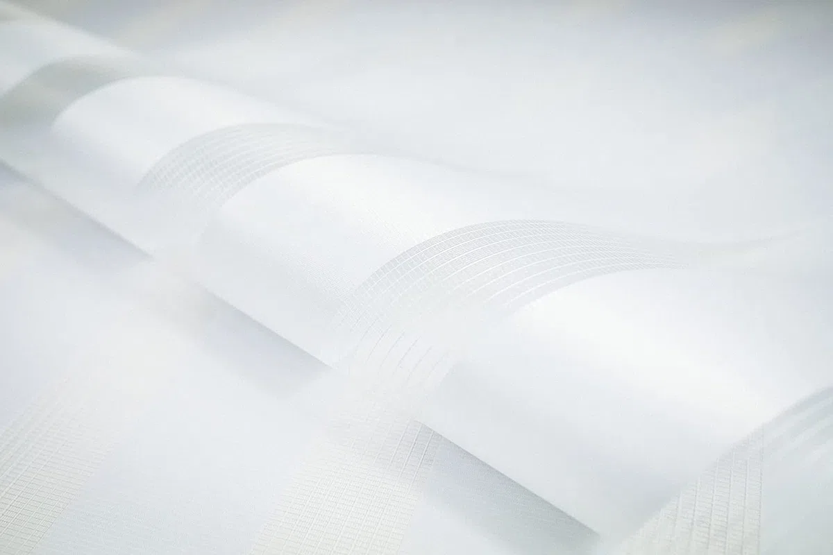 Tenda a rullo per interni, tende oscuranti per interni senza forare, doppio strato Giorno e Notte, per Finestra o Porta, facile Fissaggio a Clip Senza Viti, veneziane da interno 55x250cm