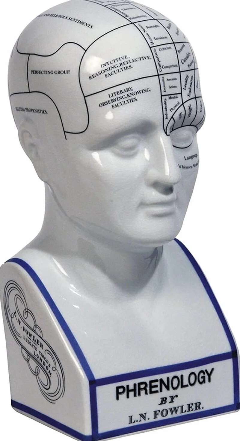Phrenology Head L.N fowler porcellana Frenologia ceramica 12 '' testa in ceramica Antico off crackle smalto