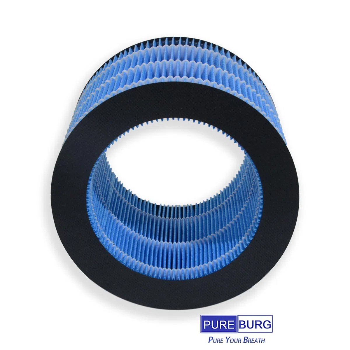 PUREBURG FY3446/30 - Filtro umidificatore compatibile con Philips HU2716, HU2718, HU3915, HU3916, HU3918, 2 pezzi