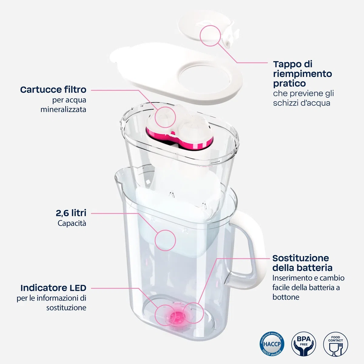 Caraffa filtrante BWT AQUAlizer 2,6 l con 2 filtri magnesio | depuratore acqua domestico | acqua naturale da rubinetto | filtri caraffa BWT per cucina, tè, caffè, bevande fredde e calde