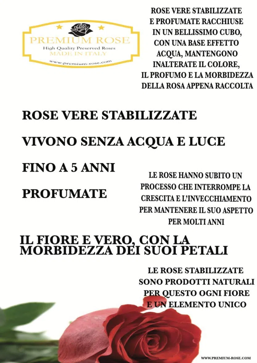 S 1085 Luxury Rose Stabilizzate Vere in Cubo più Spesso Luxury 8 e Scatola Regalo Lusso, Cubo Rosa stabilizzata Rosa, Rosa eterna