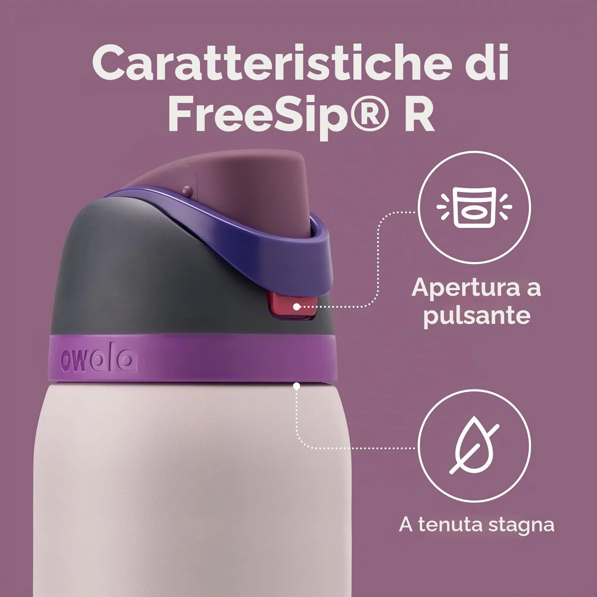 Owala FreeSip Borraccia Termica Acciaio Inox con Cannuccia, 945 ml – Bottiglia Termica Isolata per Sport e Viaggio, Senza Perdite, Senza BPA, Dreamy Field