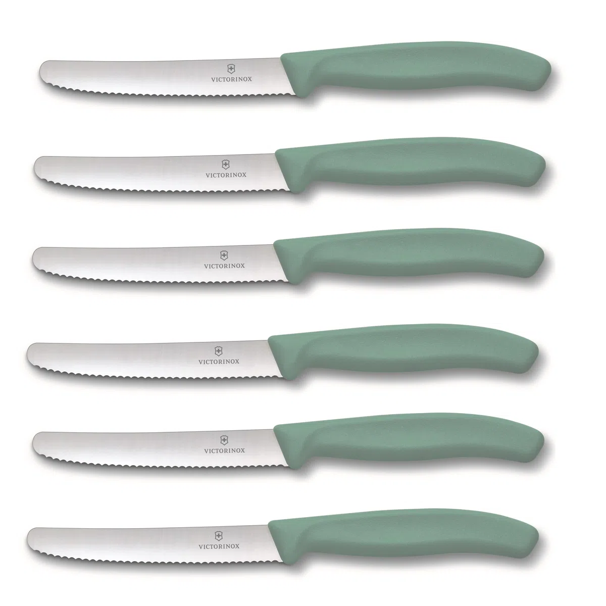Victorinox | Coltello da tavola Swiss Classic | 6 pezzi | Verde menta | lama dentellata extra affilata | Swiss Made | ideale anche come coltello per panini