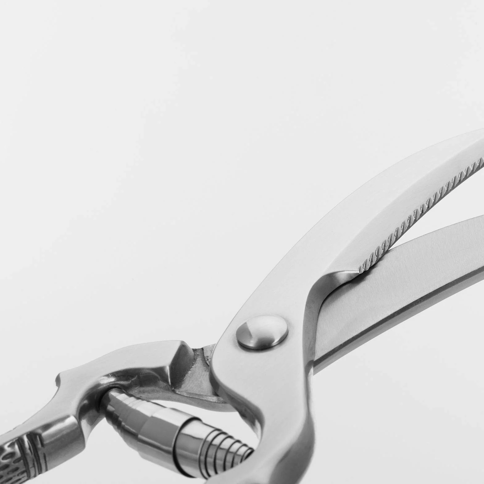 Westmark Trinciapollo, Meccanismo a molla, Lunghezza lama: 7 cm, Acciaio inox, Lucidato, Classic, Argento, 13712260