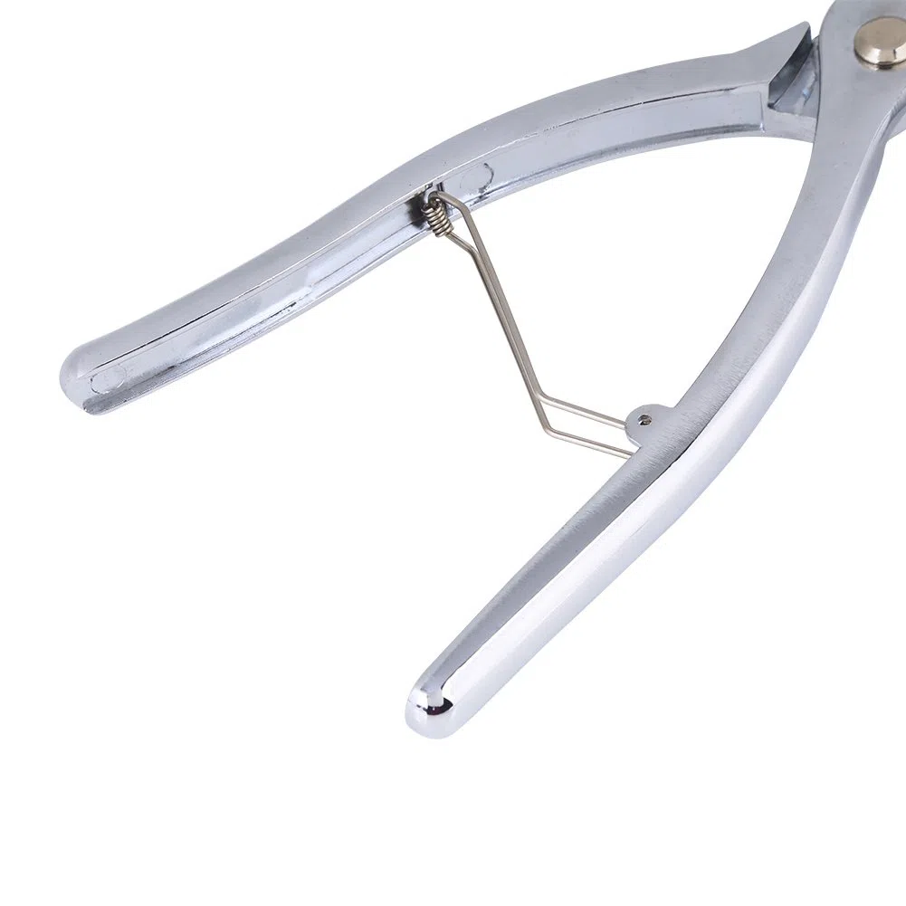 Pinza allungante su tela, pinza per tela, pinza per tela, pinza professionale per tela morsetto di serraggio per pittura a olio