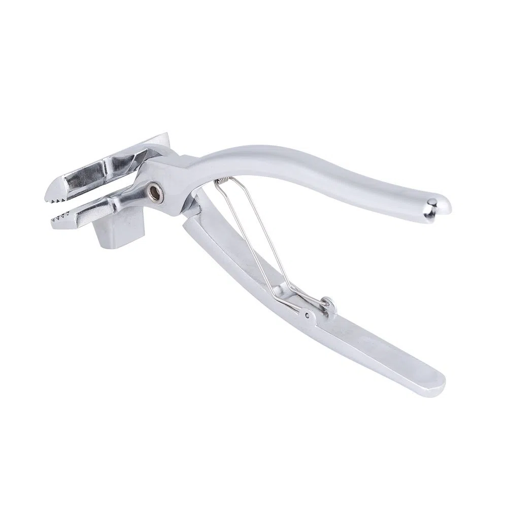 Pinza per Tela Professionale, Morsetto in Lega di Zinco, Strumento per Allungare la Tela, Accessori per Pittura a Olio