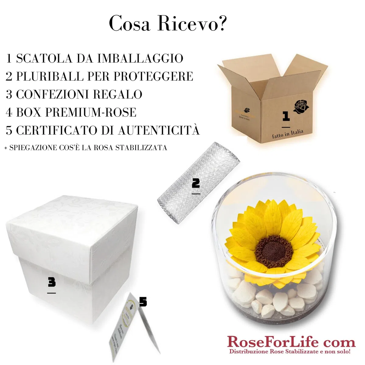 Premium-rose.com Box tondo con Girasole Stabilizzata e Marmo di Carrara, Idea Regalo Unica e Raffinata, Idea regalo per lei, Natale, Cubo Rosa fucsia, Fatta in Italia (girasole 1999)
