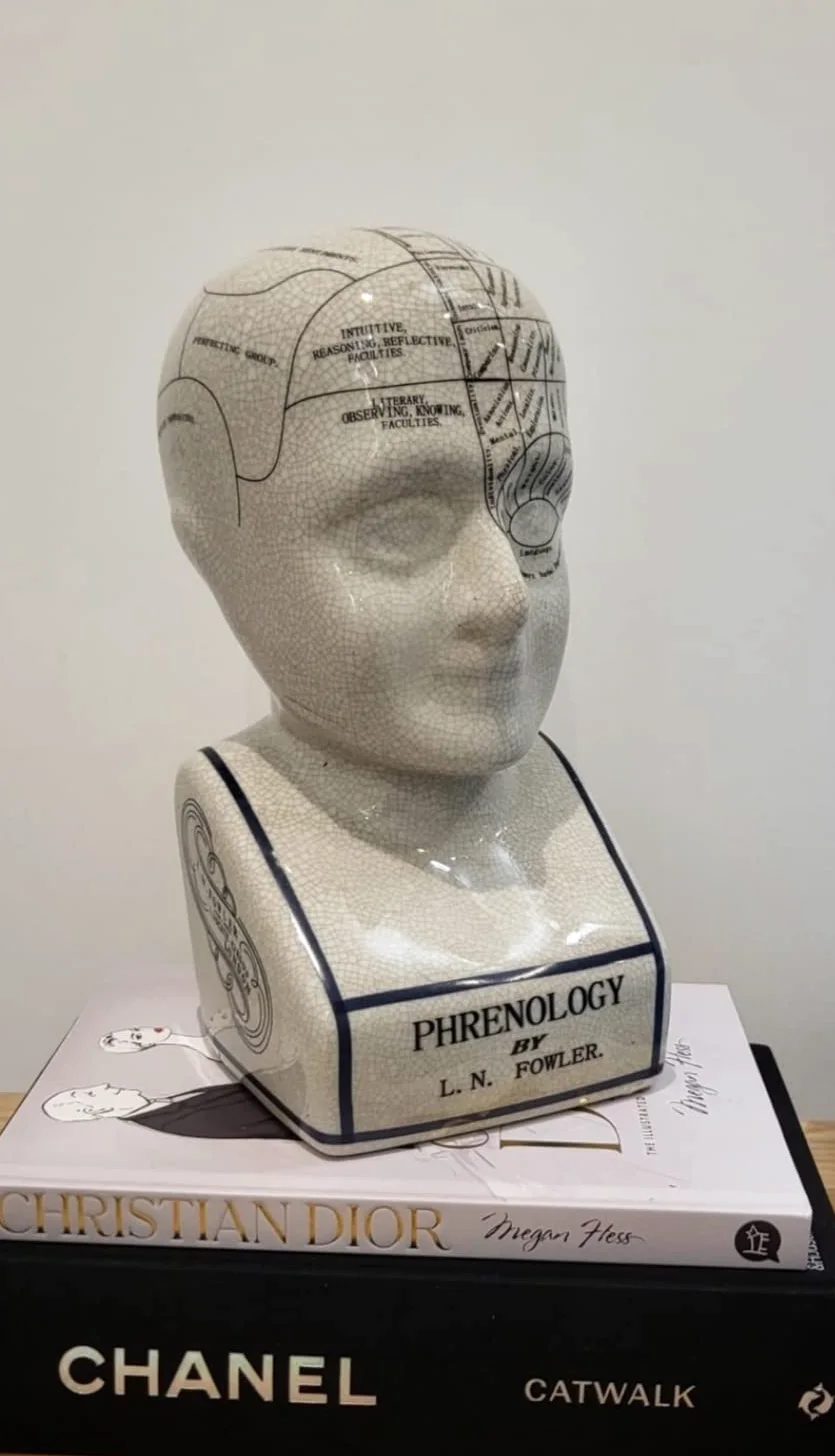 ACL Phrenology Head – Ornamento in ceramica da collezione Retro Busto – Finitura smaltata – Scrivania del medico – LN Fowler – Statua della predizione – Sensi cerebrali 28 cm – Bianco