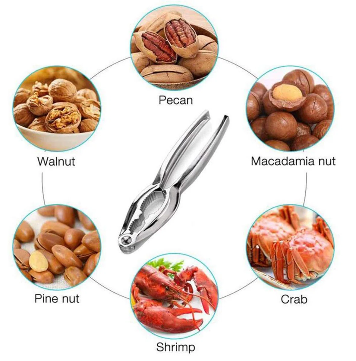 Attrezzi per Frutti di Mare Set,Biluer 20PCS Frutti di Mare Forcelle Forchetta per Aragosta And 2PCS Schiaccianoci Pinza per Frutti di Mare per Aragosta o Granchio Mandorle