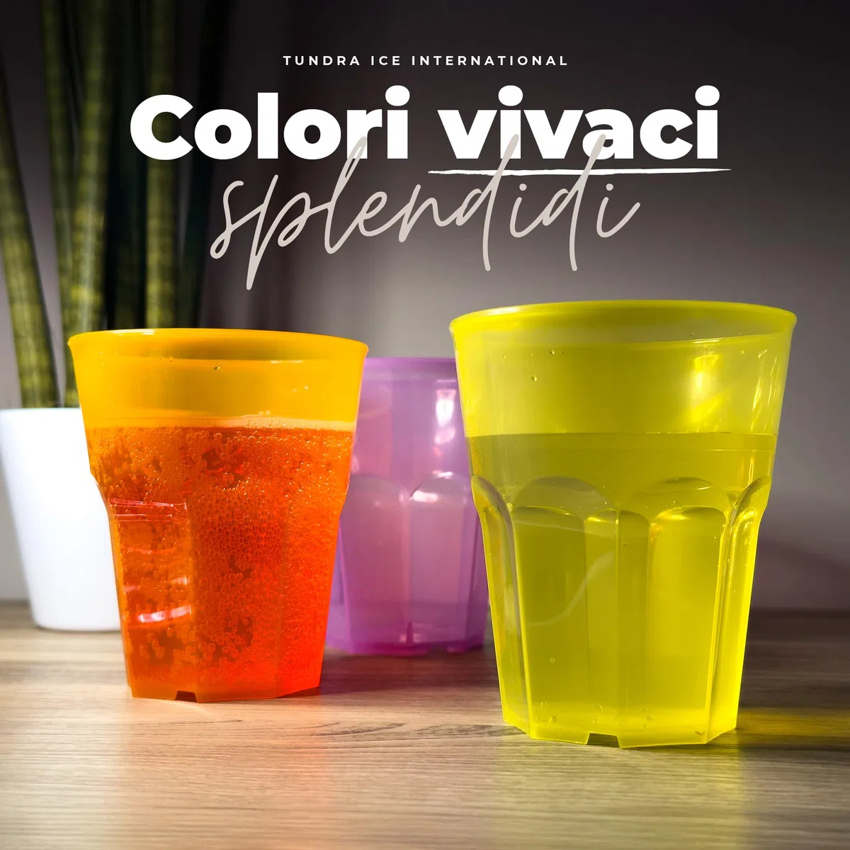 TUNDRA - Confezione 48 Bicchieri da COCKTAIL "SPRITZOTTO USA & RI-USA" 300 ml., BPA-FREE, COLORATI, in PLASTICA RICICLABILE (Polipropilene), INFRANGIBILI, Riutilizzabili e Trasparenti