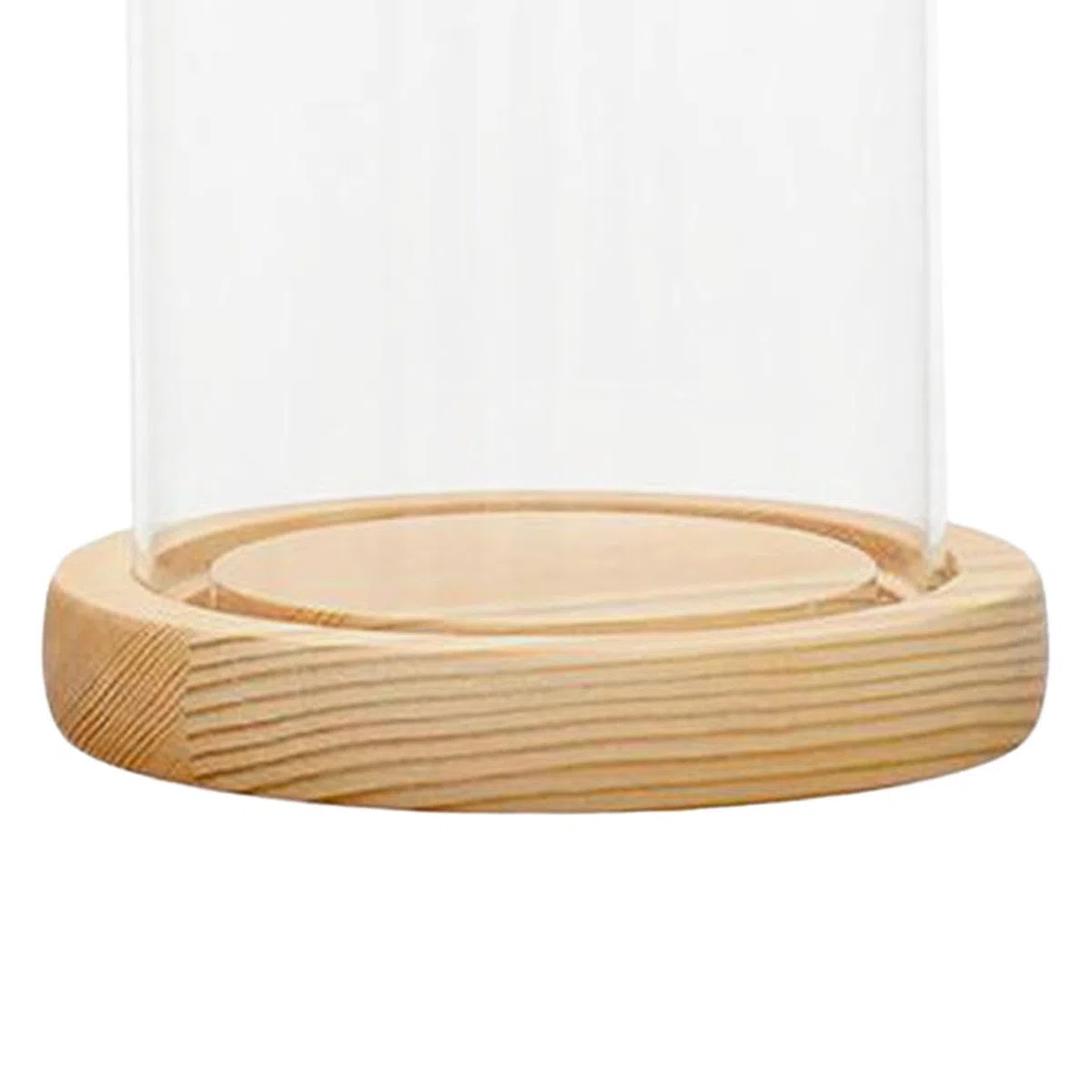 Campana Di Vetro Con Base in Legno, Cupola in Vetro Cloche Campana Base in Legno Rotondo Tavolo,Esposizione Centrotavola in Vetro Trasparente, per Artigianato Floreale,Oggetti D’antiquariato, 12x25 cm