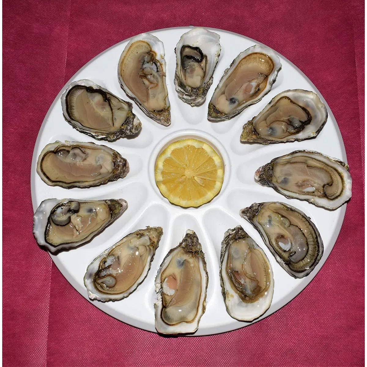 Set di 6 piatti per ostriche con 12 scomparti e 1 per il limone, salsa. Fabbricazione Francese Made In France A Base In Polipropilene Per La Casa, Il Ristorante, Diametro 30,5 Cm Colore Bianco