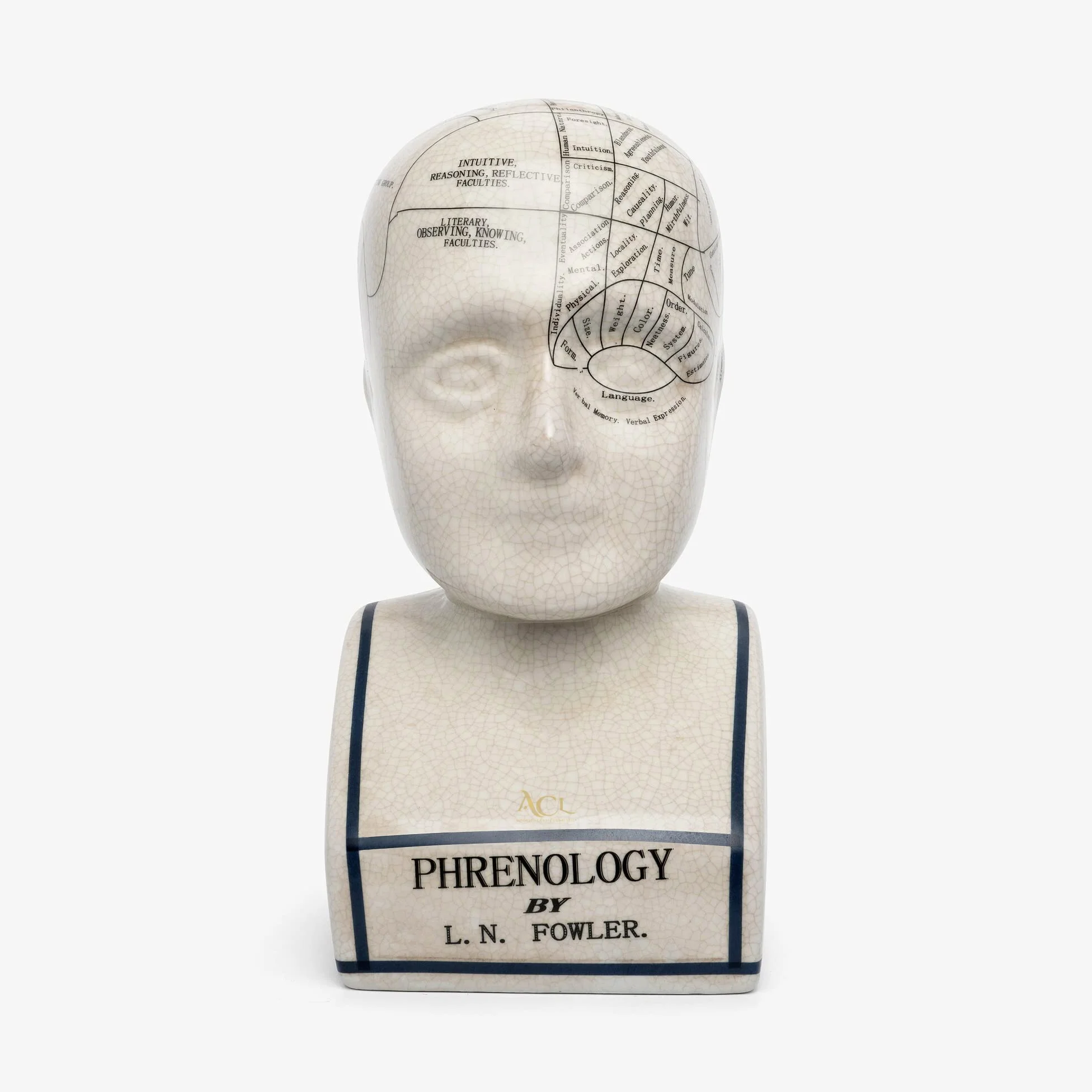 ACL Phrenology Head – Ornamento in ceramica da collezione Retro Busto – Finitura smaltata – Scrivania del medico – LN Fowler – Statua della predizione – Sensi cerebrali 28 cm – Bianco