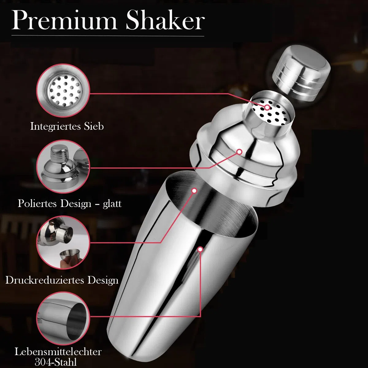 Set shaker per cocktail, kit da barman in acciaio inox con schede di ricette e accessori, ideale per casa, bar e feste (15 pezzi)