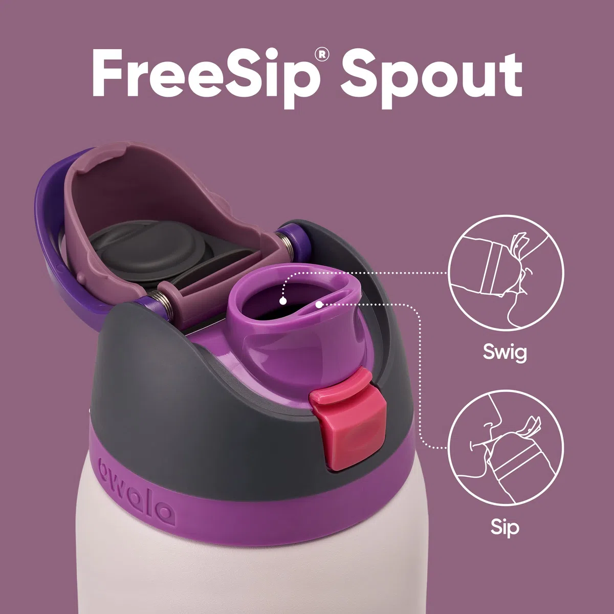Owala FreeSip Borraccia Termica Acciaio Inox con Cannuccia, 945 ml – Bottiglia Termica Isolata per Sport e Viaggio, Senza Perdite, Senza BPA, Dreamy Field
