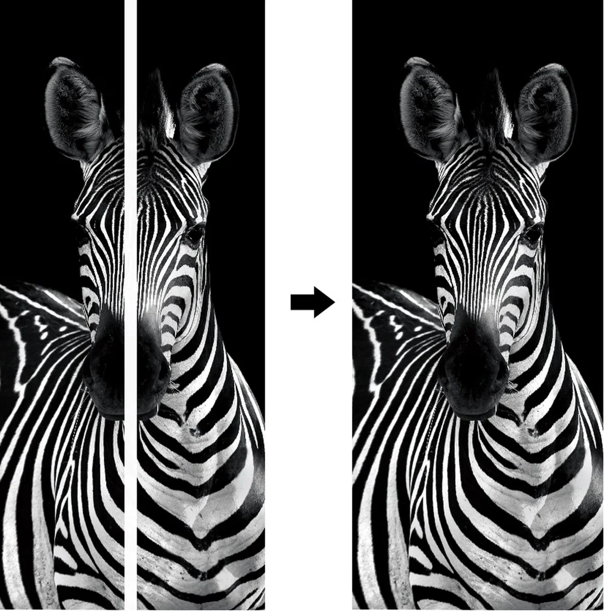 A.Monamour Adesivo Porta Autoadesiva Zebra in Bianco E Nero A Tema Animale Vinile PVC Adesivi per Porte Interne 3D Pellicola Adesiva Poster Sticker Murale Parete Carta da Parati