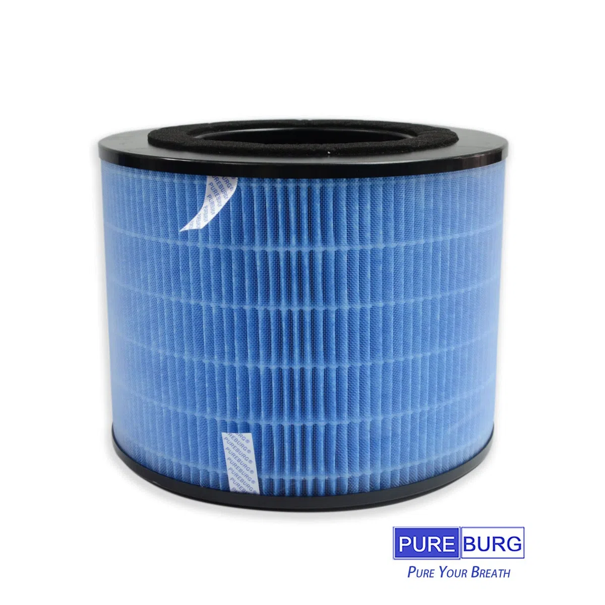 PUREBURG FYM220 Filtro di ricambio compatibile con PHILIPS AMF220 AMF220/15 purificatore d'aria FYM220/30,2 pezzi H13 HEPA filtrazione a 4 stadi