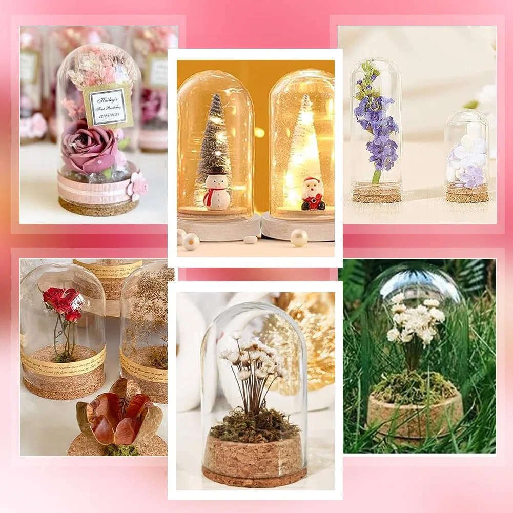 PH PandaHall 4pz Campana di Cloche Campana di Vetro Copertura A Cupola Display Cupola con Base In Sughero Bottiglie di Vetro Cupola Barattoli Decorativi per Conservazione di Fiori Decorazione 6.5x11cm