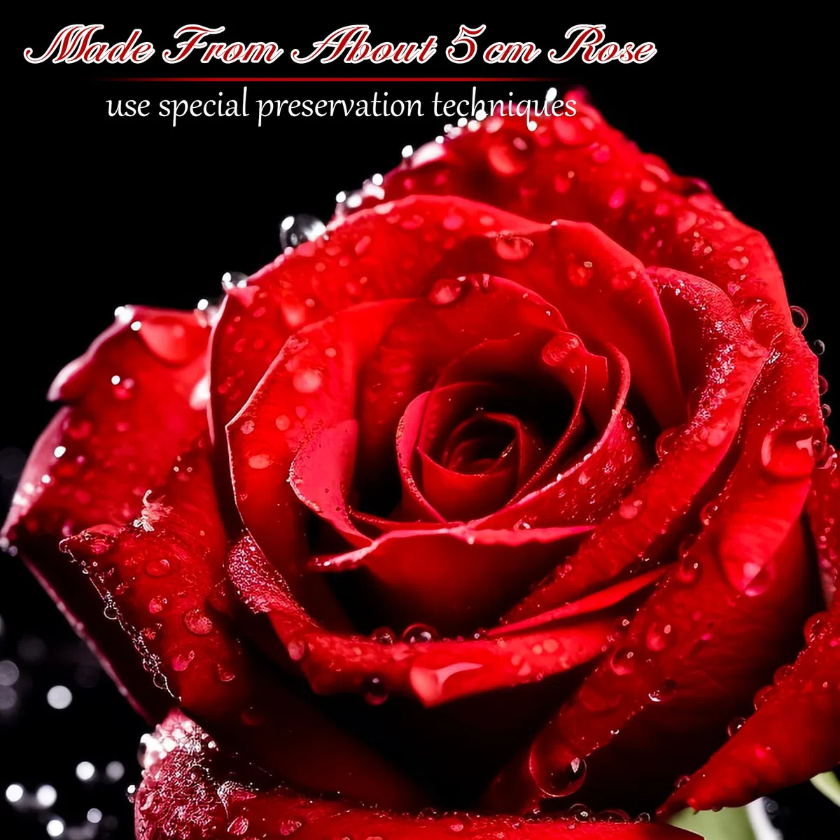 Confezione Regalo con Rosa Eterna, 4 Rose Eterne Rosse Fiore San Valentino Festa della Mamma Anniversario Regali di Compleanno Romantici per Moglie Sorella Mamma Donne