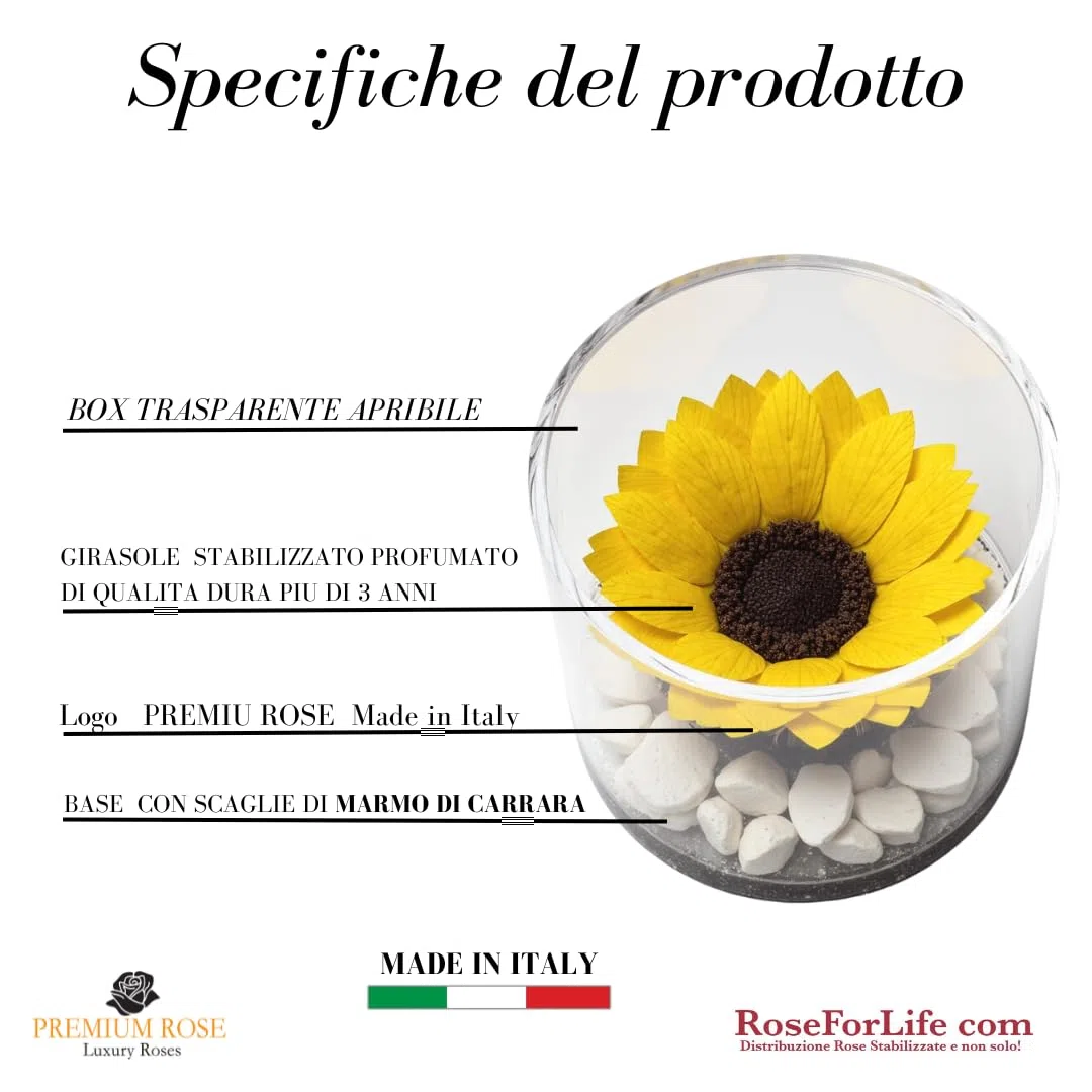 Premium-rose.com Box tondo con Girasole Stabilizzata e Marmo di Carrara, Idea Regalo Unica e Raffinata, Idea regalo per lei, Natale, Cubo Rosa fucsia, Fatta in Italia (girasole 1999)