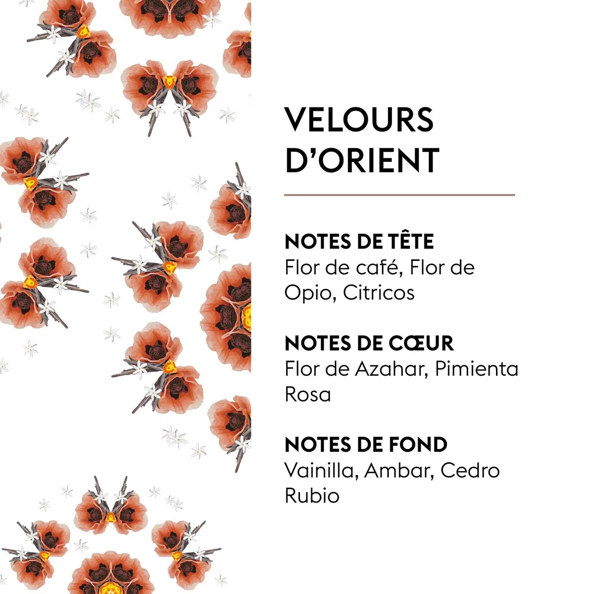 Maison Berger - Ricarica Lampada Pastore Velluto d'Oriente - Pronta all'Uso - Profuma e purificazione - Diffusione Sottile, omogenea e Lunga Durata - 1 l