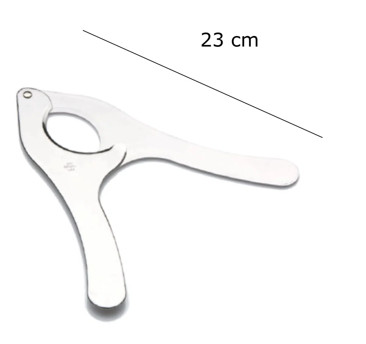 Set 5 Pezzi Pinza Apri Ricci di Mare in inox e 4 Cucchiaini inox, Utensili per Ricci di Mare e Frutti di Mare, Accessori Cucina Pesce Uso Domestico e Professionale, taglierina per ricci di mare