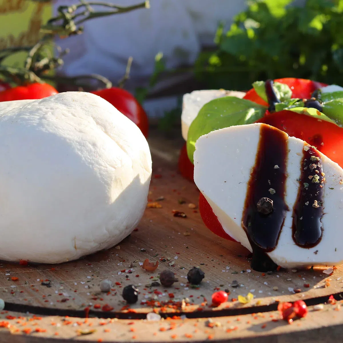 kaese-selber.de Formaggio Fai da Te Starter Set Mozzarella e Ricotta, Bianco, sofort startklar